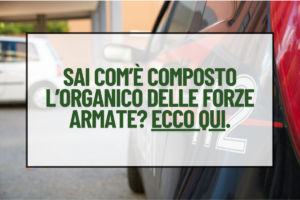 Organico forze armate italiane